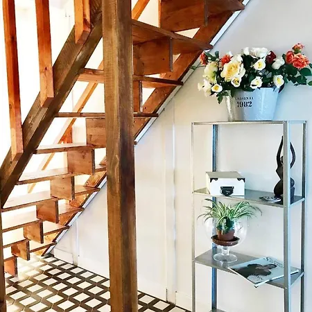 Modern Brand New Duplex In Coroso Beach *